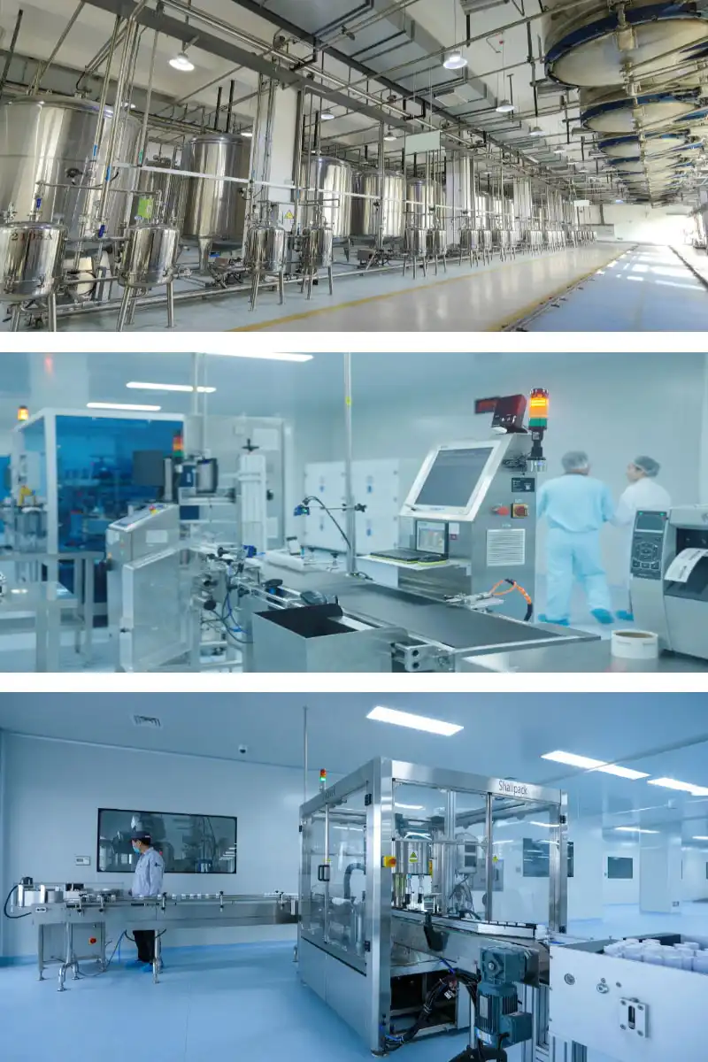 factory 6.jpg factory 6.jpg